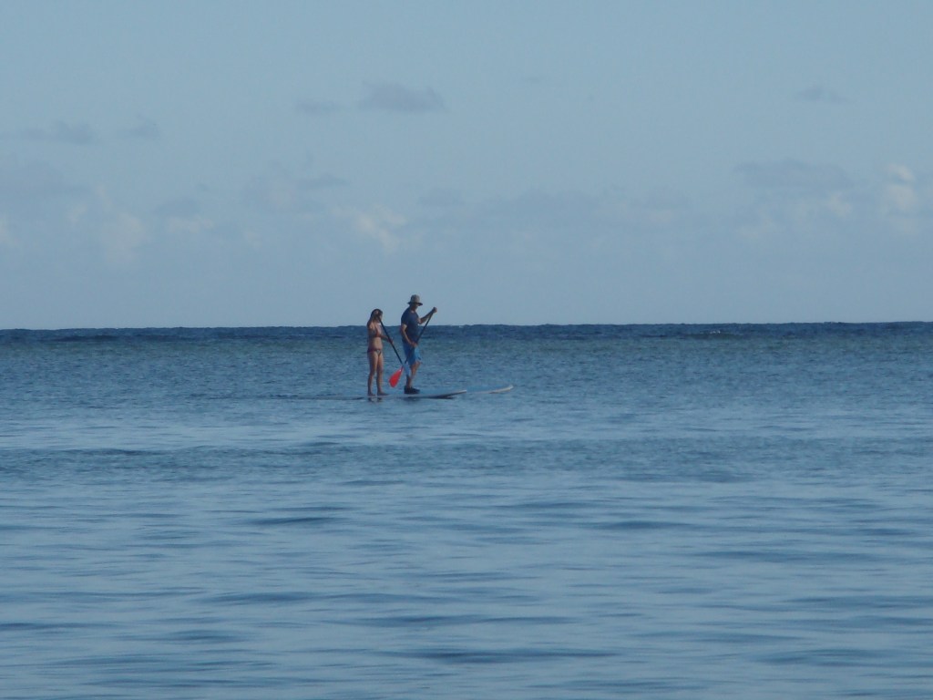 Kaua'i Anini 2011_1388