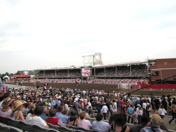 StampedeGrandstand