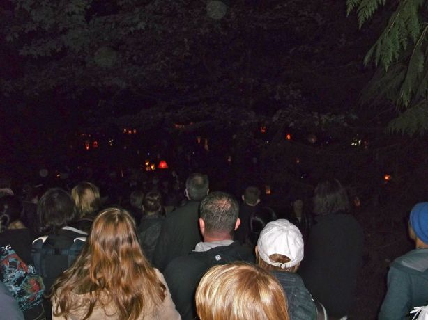 DescendingintoRavine