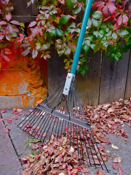 RakedLeaves