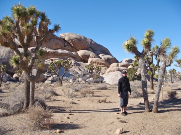 Joshua Tree