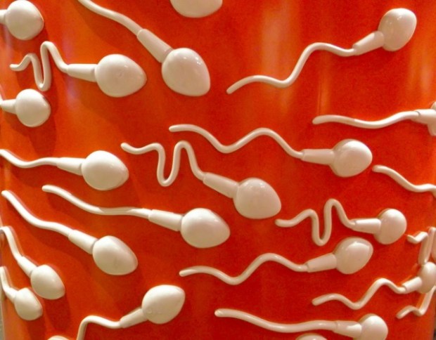 Science World - Vancouver - 15