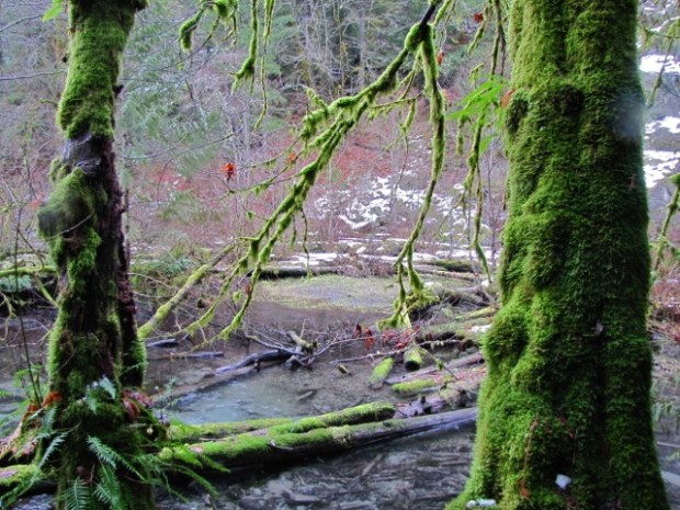 Squamish Eagles'13 - 23