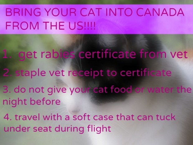 Megu in Vancouver - 6251