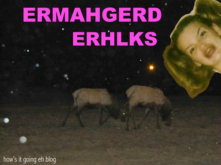 Alberta Drive '13 - 12