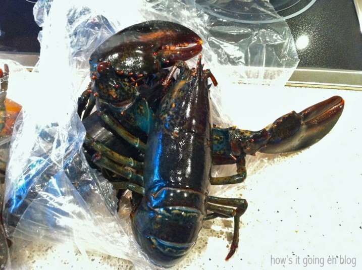 Dress Up Lobster Fest - 11