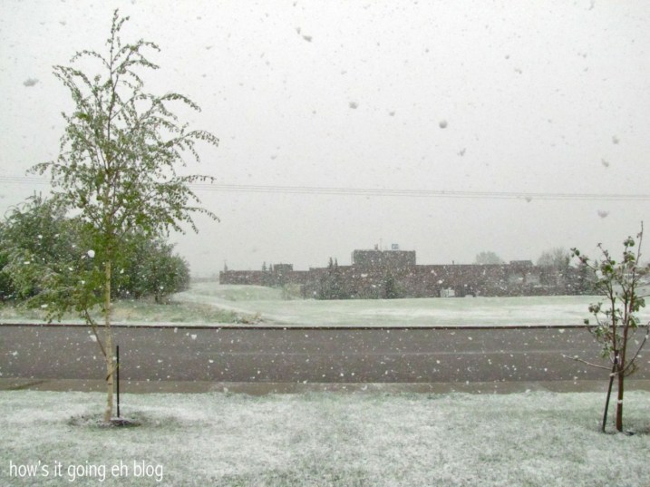 Rocky Mountain Living - 01