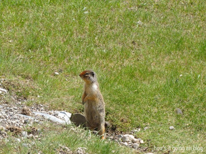 Rocky Mountain Living - 10