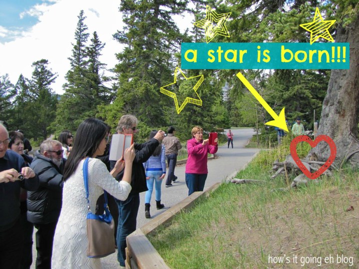 Rocky Mountain Living - 16