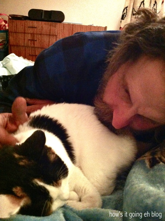 Kitty Mama Drama - 2