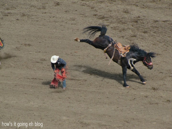 Calgary Stampede 2013 Day2 - 09