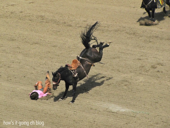 Calgary Stampede 2013 Day2 - 11