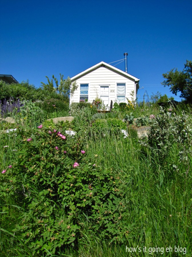 Debbie in the Country - 04