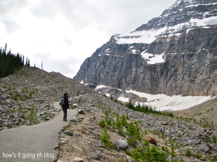 Edith Cavell Meadow - 01