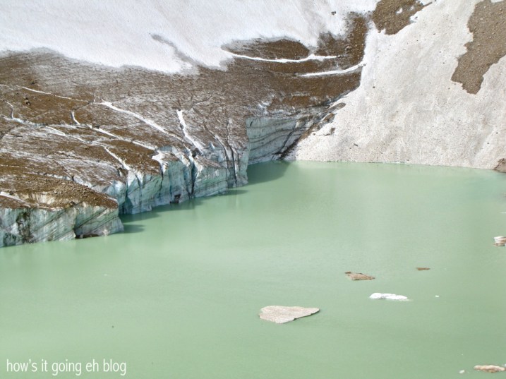 Edith Cavell Meadow - 04