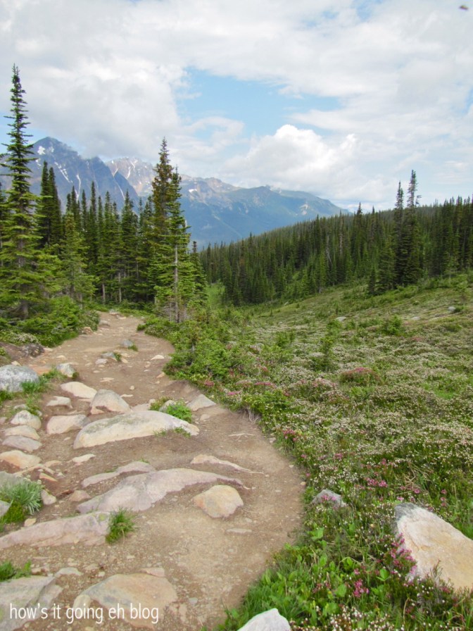 Edith Cavell Meadow - 05