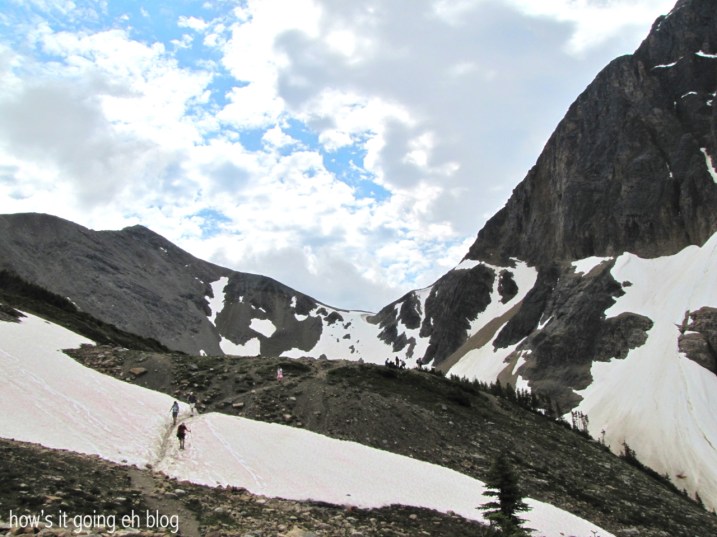 Edith Cavell Meadow - 09