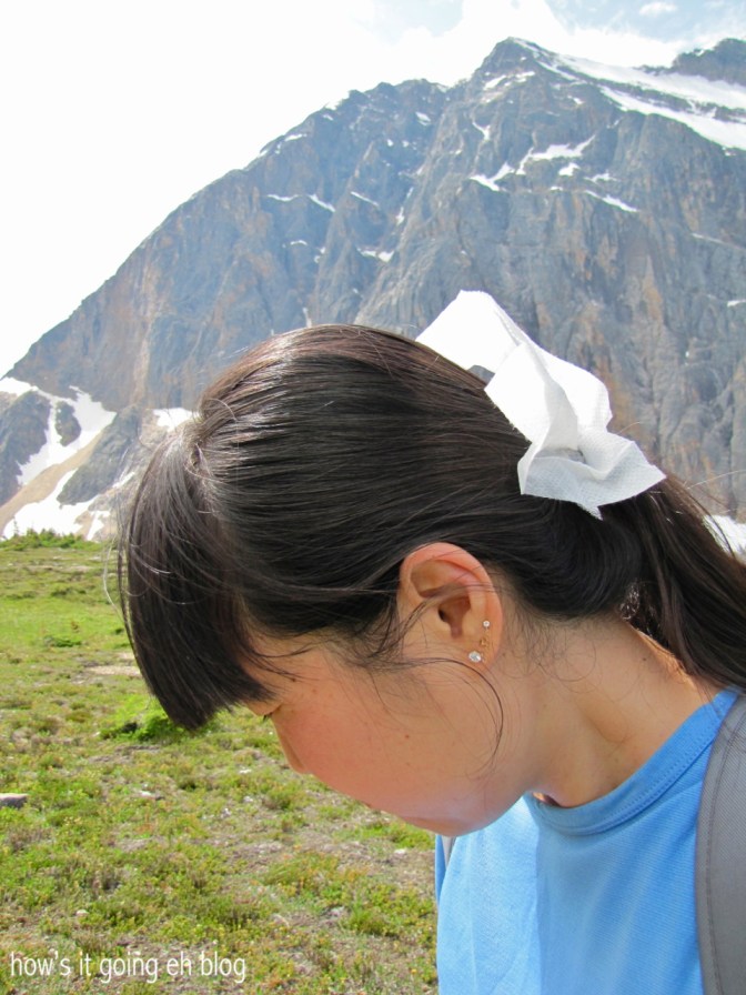 Edith Cavell Meadow - 11