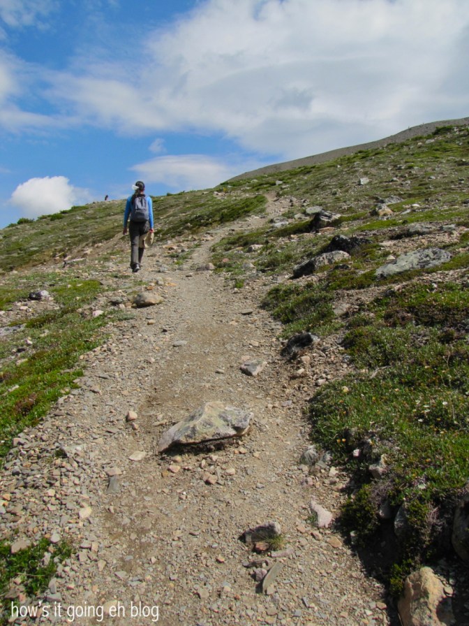 Edith Cavell Meadow - 13