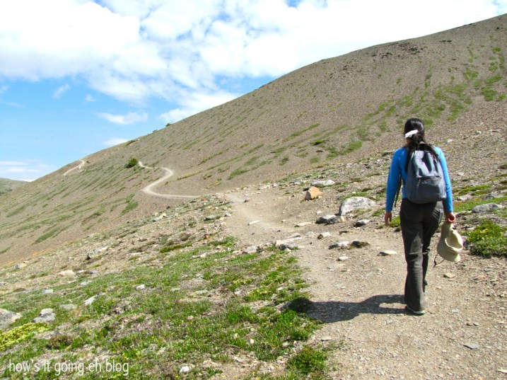 Edith Cavell Meadow - 15