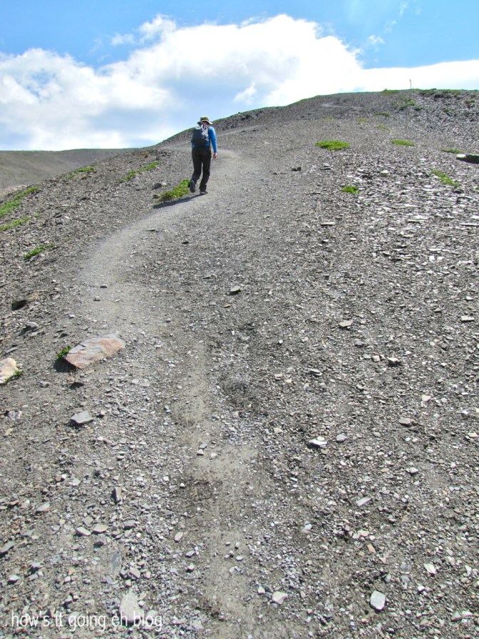 Edith Cavell Meadow - 16