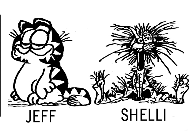 Screen Shot 2013-11-19 at 8.24.02 PM