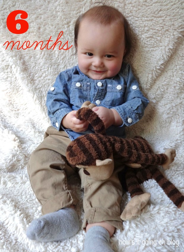 6months