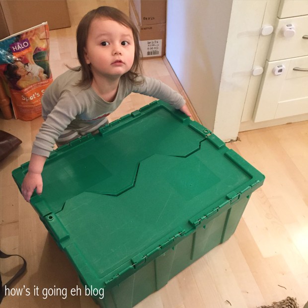 2016-03-13 14.23.17 copy