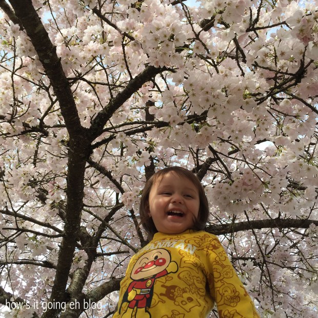 2016-03-26 16.29.52 copy