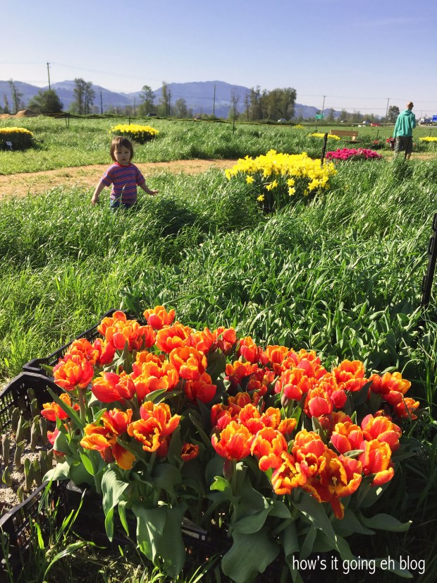 2016-04-08 10.08.18 copy copy