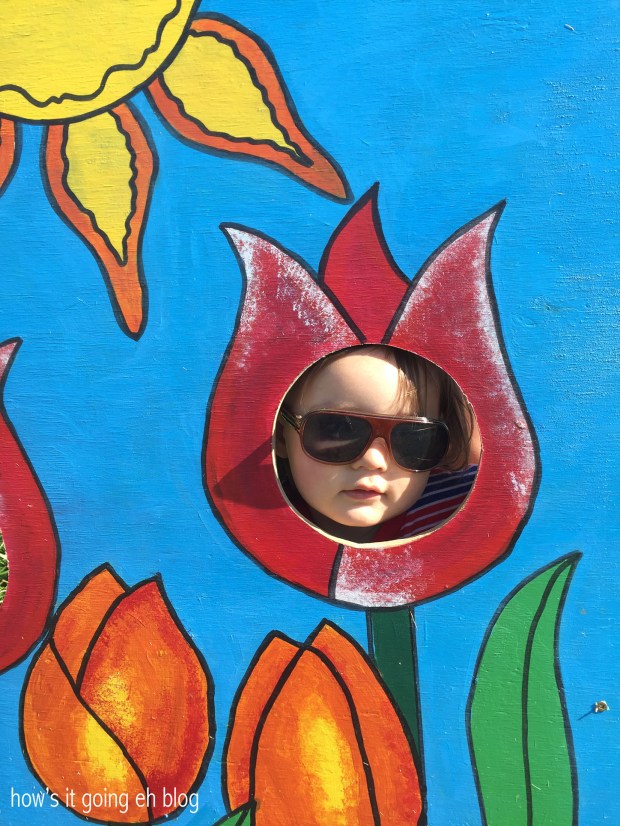 2016-04-08 10.23.28 copy