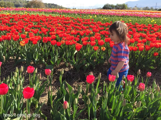 2016-04-08 10.25.32-1 copy copy