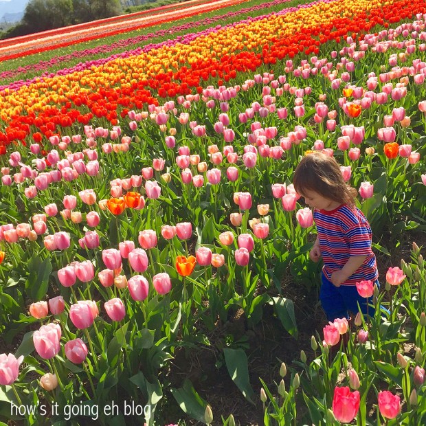 2016-04-08 10.30.19 copy