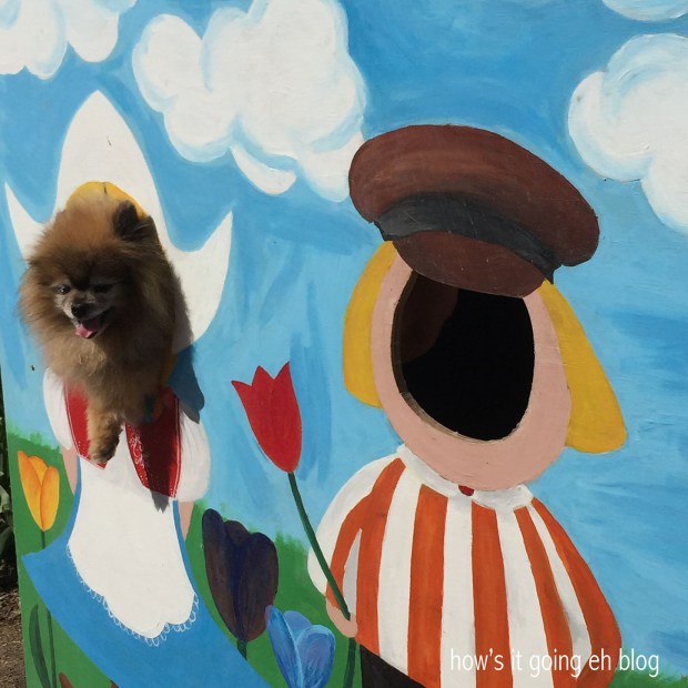 2016-04-08 11.17.18 copy