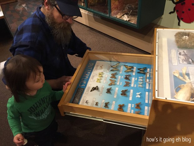 2016-04-07 11.01.50 copy