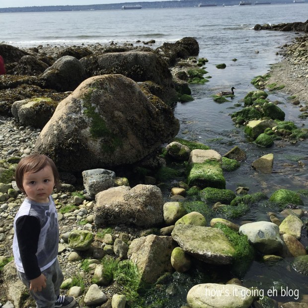 2016-04-17 12.02.56 copy