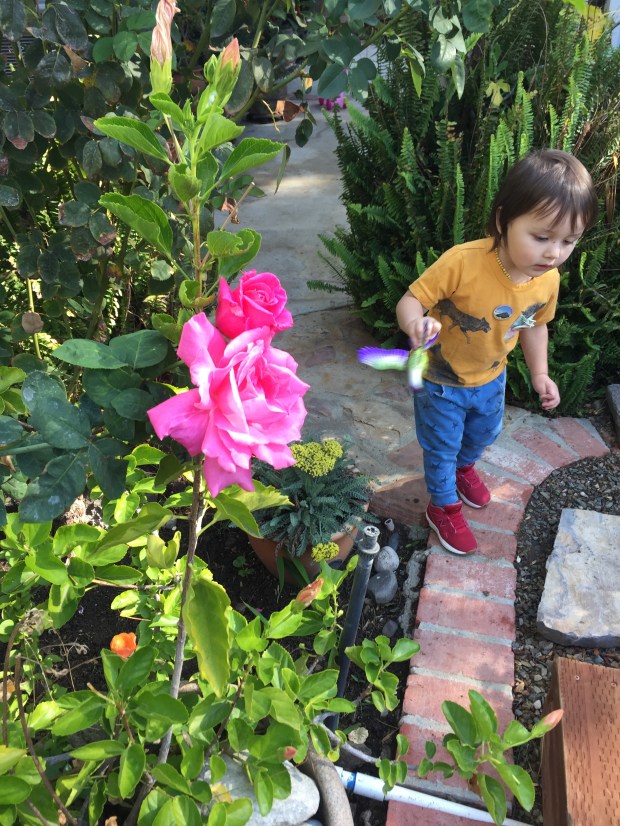 photo-2016-11-23-11-44-02-am