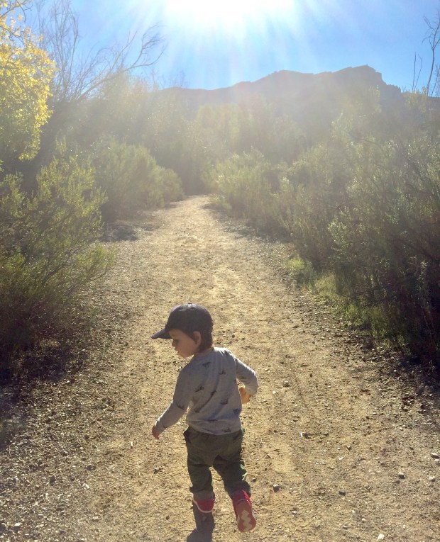 photo-2016-11-30-10-06-19-am