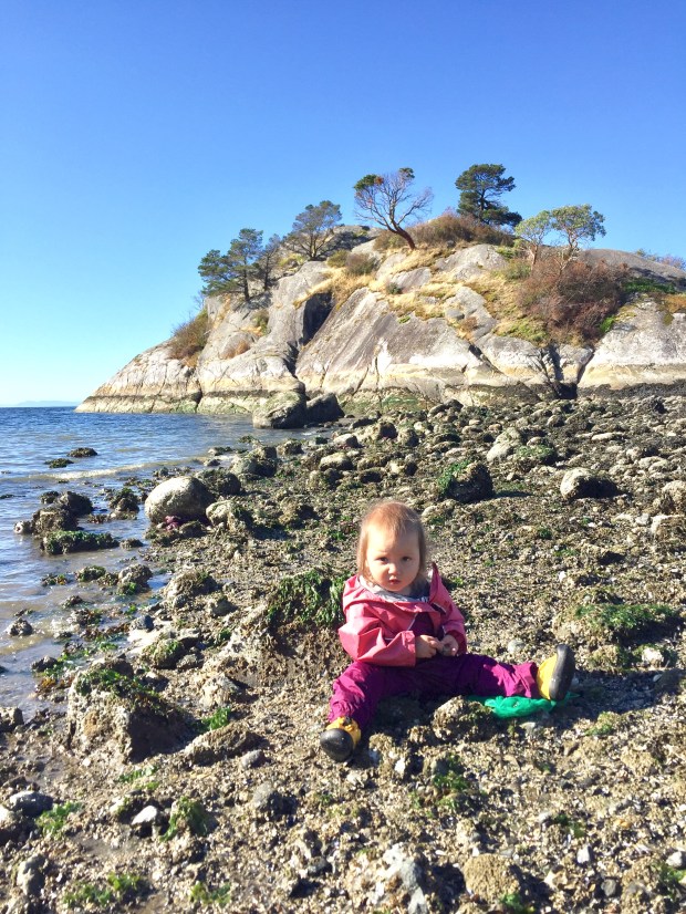 Photo 2017-10-02, 10 59 29 AM