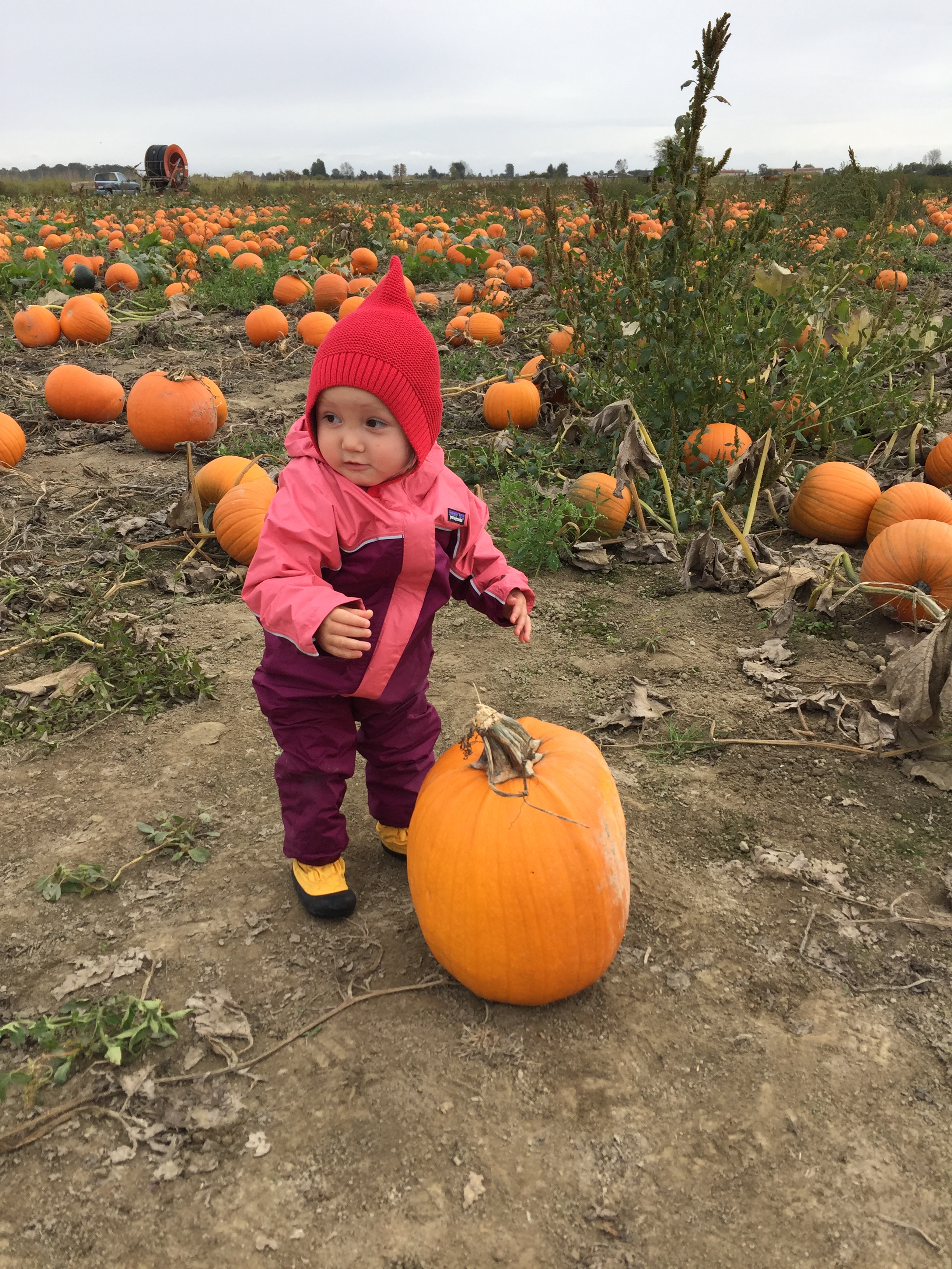 Photo 2017-10-07, 11 36 51 AM.jpg