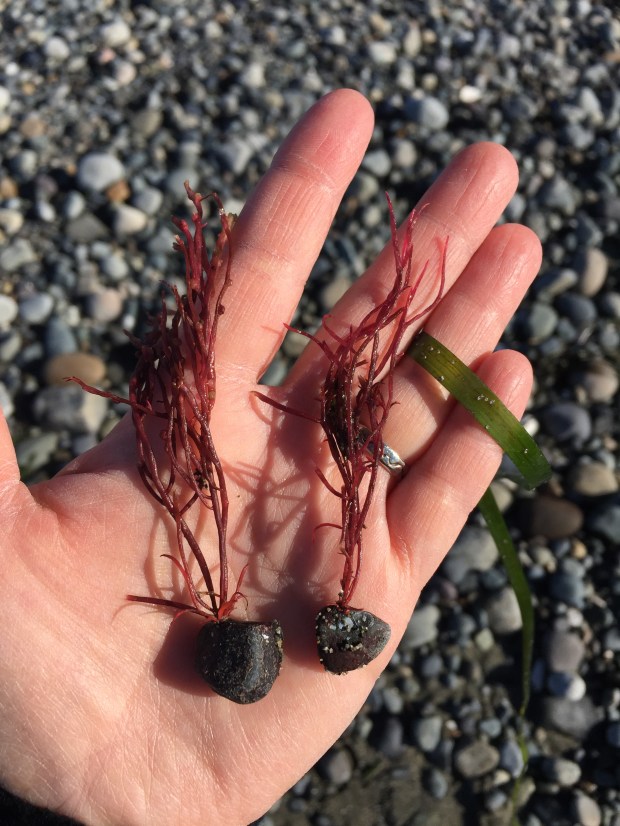 Photo 2017-10-24, 10 55 58 AM