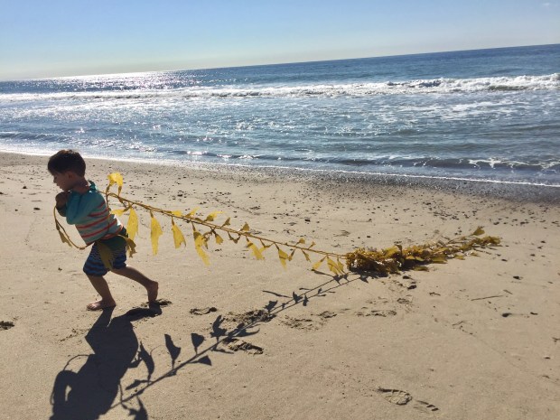 Photo Dec 03, 11 06 40 AM