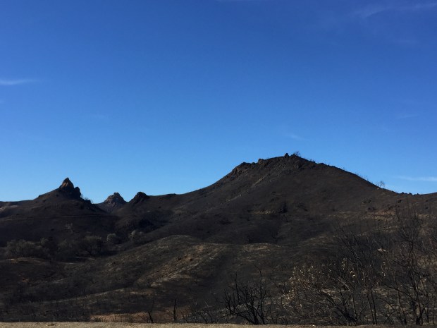 Photo Nov 26, 11 22 17 AM