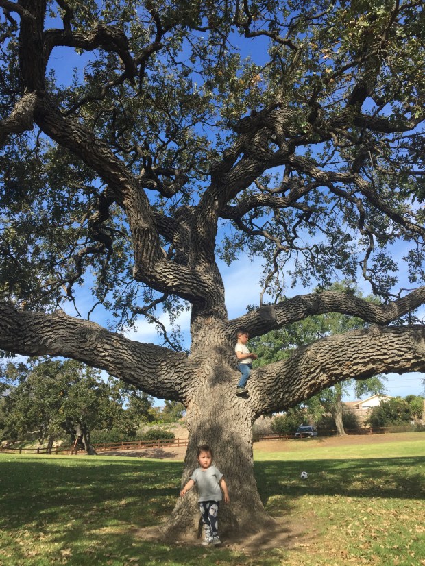 Photo Nov 27, 11 19 06 AM