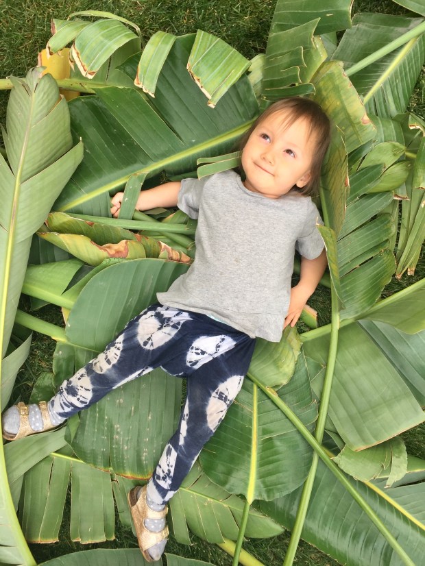 Photo Nov 27, 3 23 38 PM