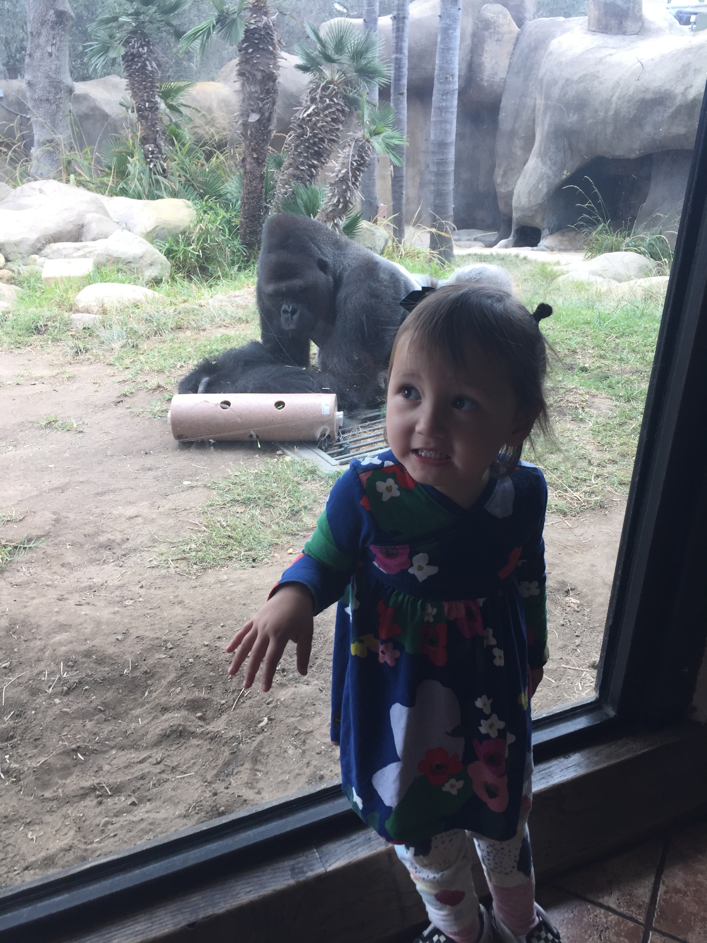 Photo Nov 28, 12 02 15 PM.jpg